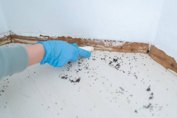 Pest Control Cost in Paducah, KY